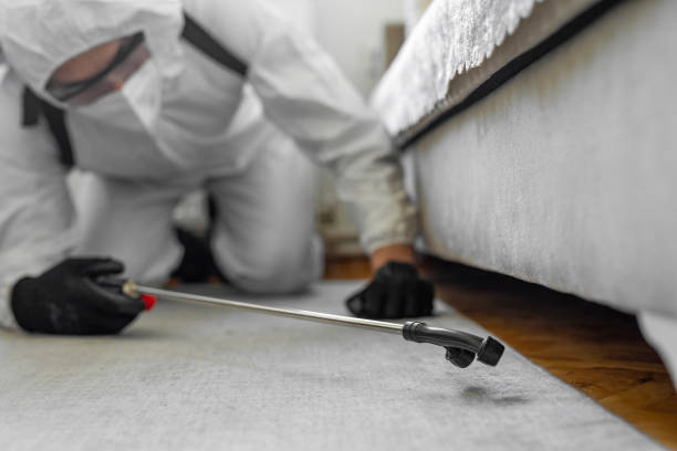Professional Cockroach Control technician working in West Elmira, NY